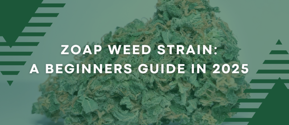 Zoap Weed Strain: A Beginners Guide in 2025